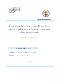 Simulación de la interacción de una llama premezclada con una barrera transversal de agua atomizada / María Teresa Parra Santos | Biblioteca Virtual Miguel de Cervantes