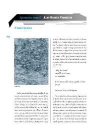 A toute épreuve / Juan Ramón Masoliver ; traduït de l'italià de Juan Antonio Masoliver Ródenas | Biblioteca Virtual Miguel de Cervantes