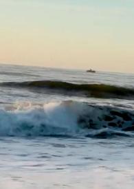 Despaisajarse, tras las huellas de Daniel Moyano en el exilio / dirección Antonella Sánchez Maltese | Biblioteca Virtual Miguel de Cervantes