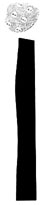 Imatge6